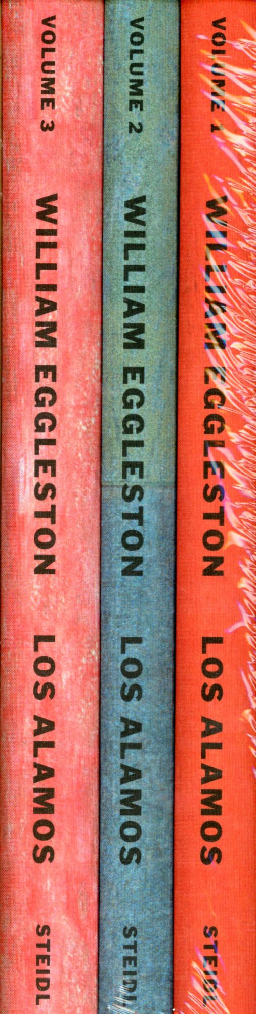 Amazon.com: William Eggleston: Los Alamos Revisited