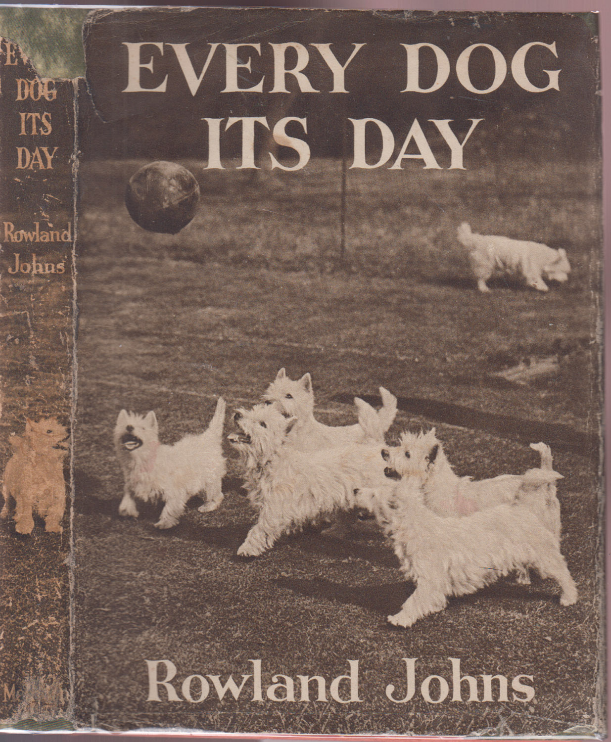 Every Dog Its Day Johns, Rowland [Assez bon] [Couverture rigide]