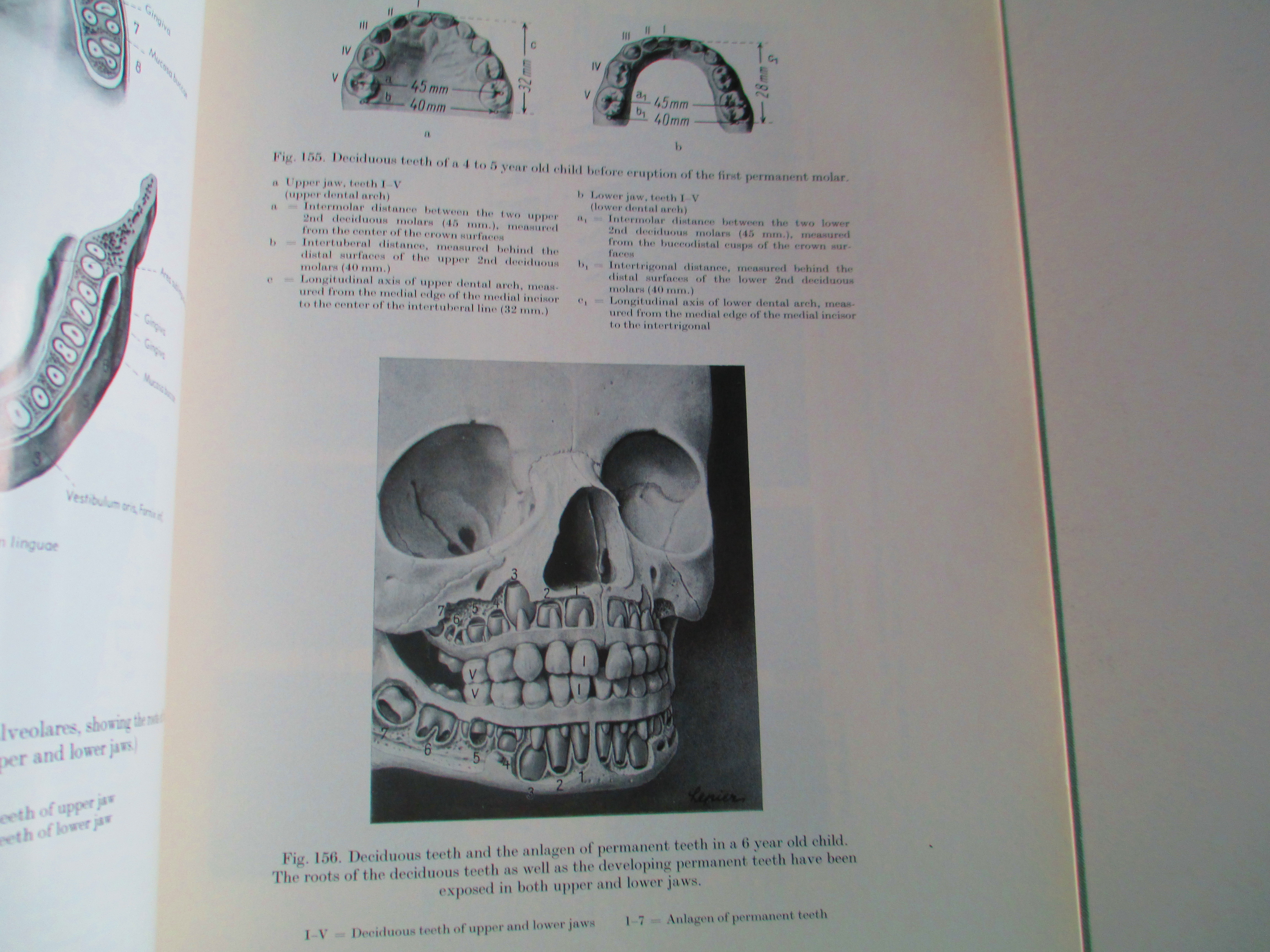 Atlas of Topographical and Applied Human Anatomy by Eduard Atlas of Topographical and Applied Human Anatomy by Eduard
