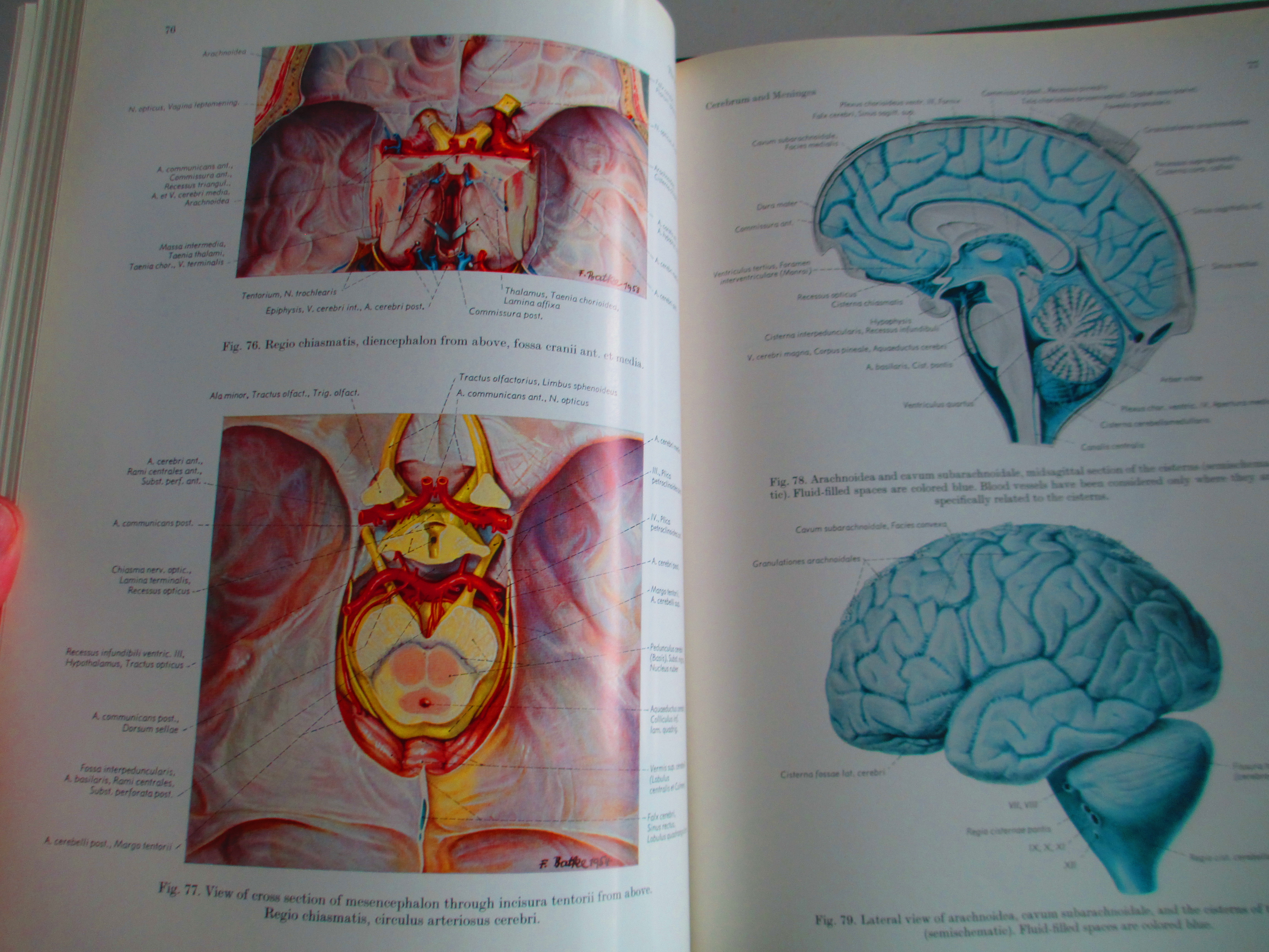 Atlas of Topographical and Applied Human Atlas of Topographical and Applied Human