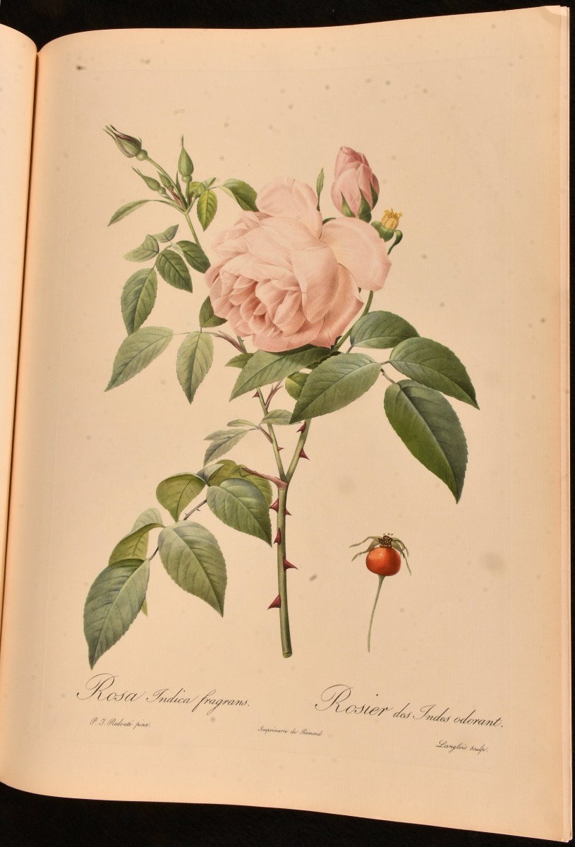 Roses by Pierre-Joseph Redoute: Very Good Paperback (1954