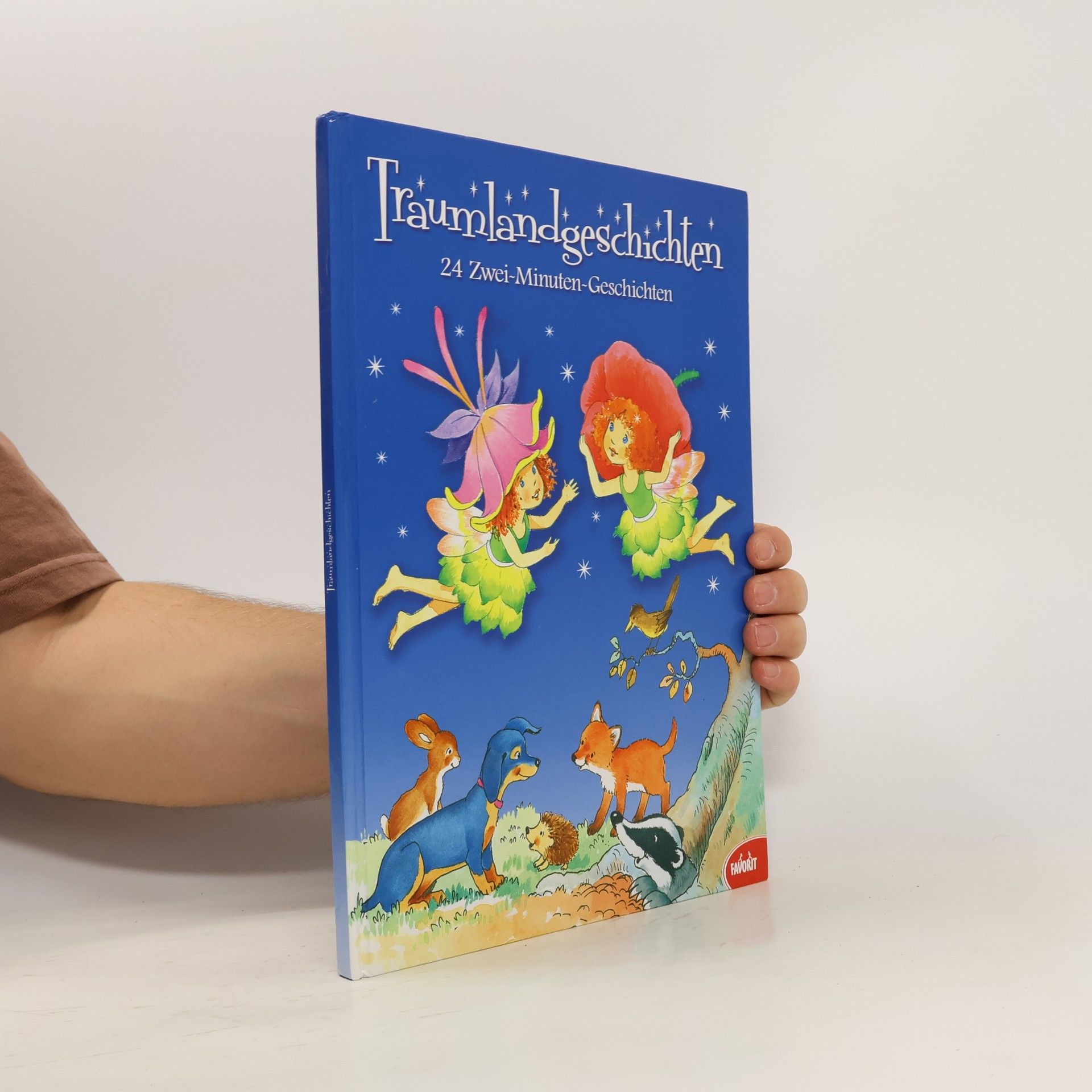Traumlandgeschichten - Günter Neidinger