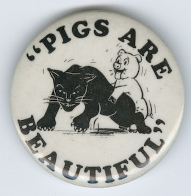 Pigs Are Beautiful pinback button [ ]