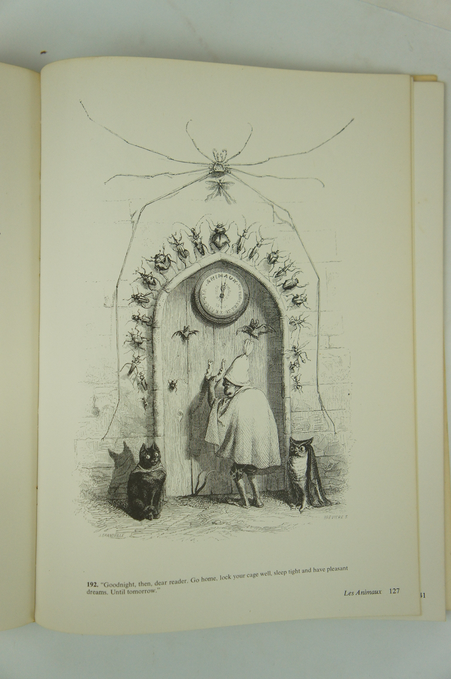 洋書 Bizarreries and Fantasies of Grandville Bizarreries and Fantasies of Grandville by Introduction: Stanley