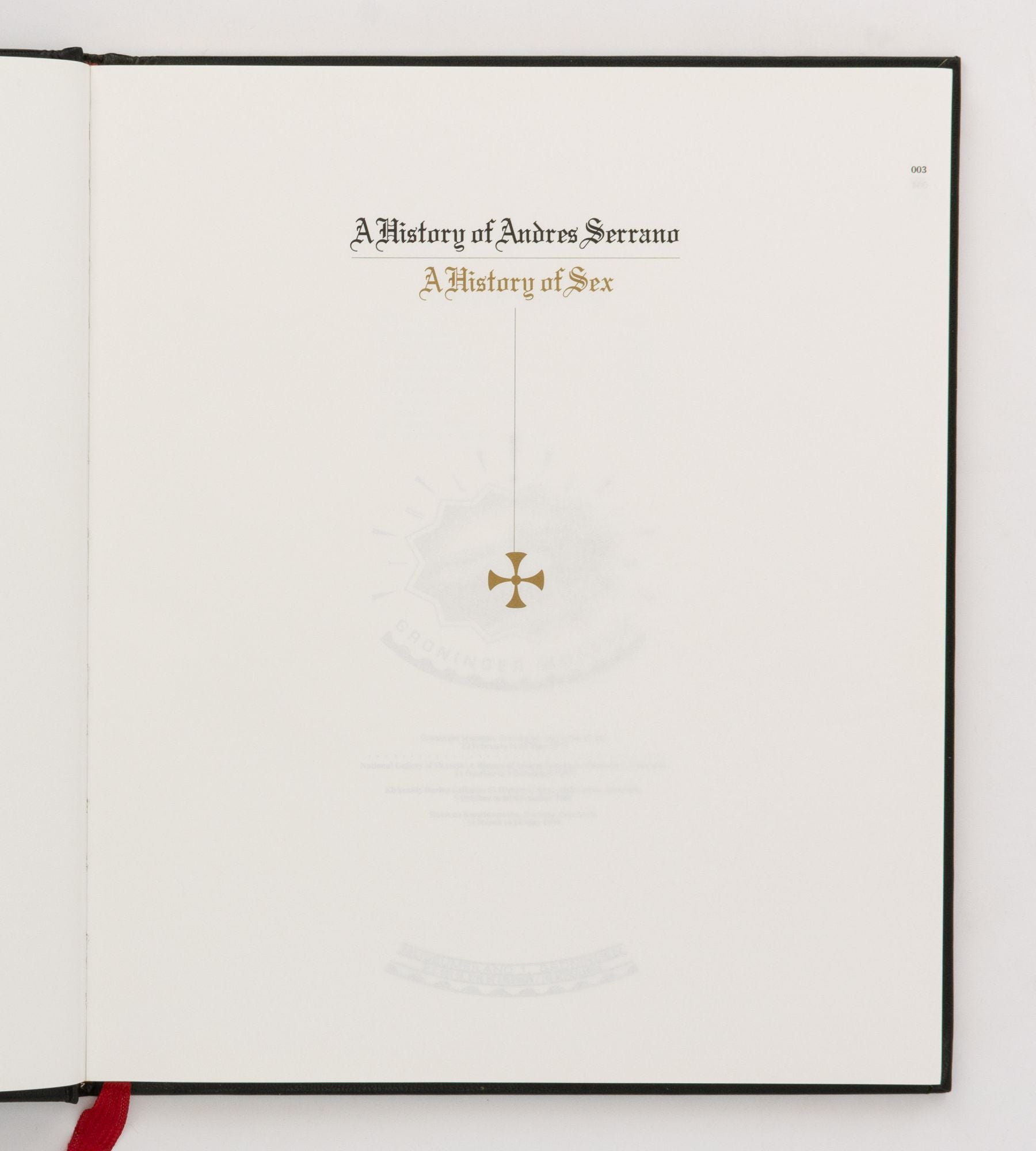 A History of Andres Serrano. A History of Sex by SERRANO