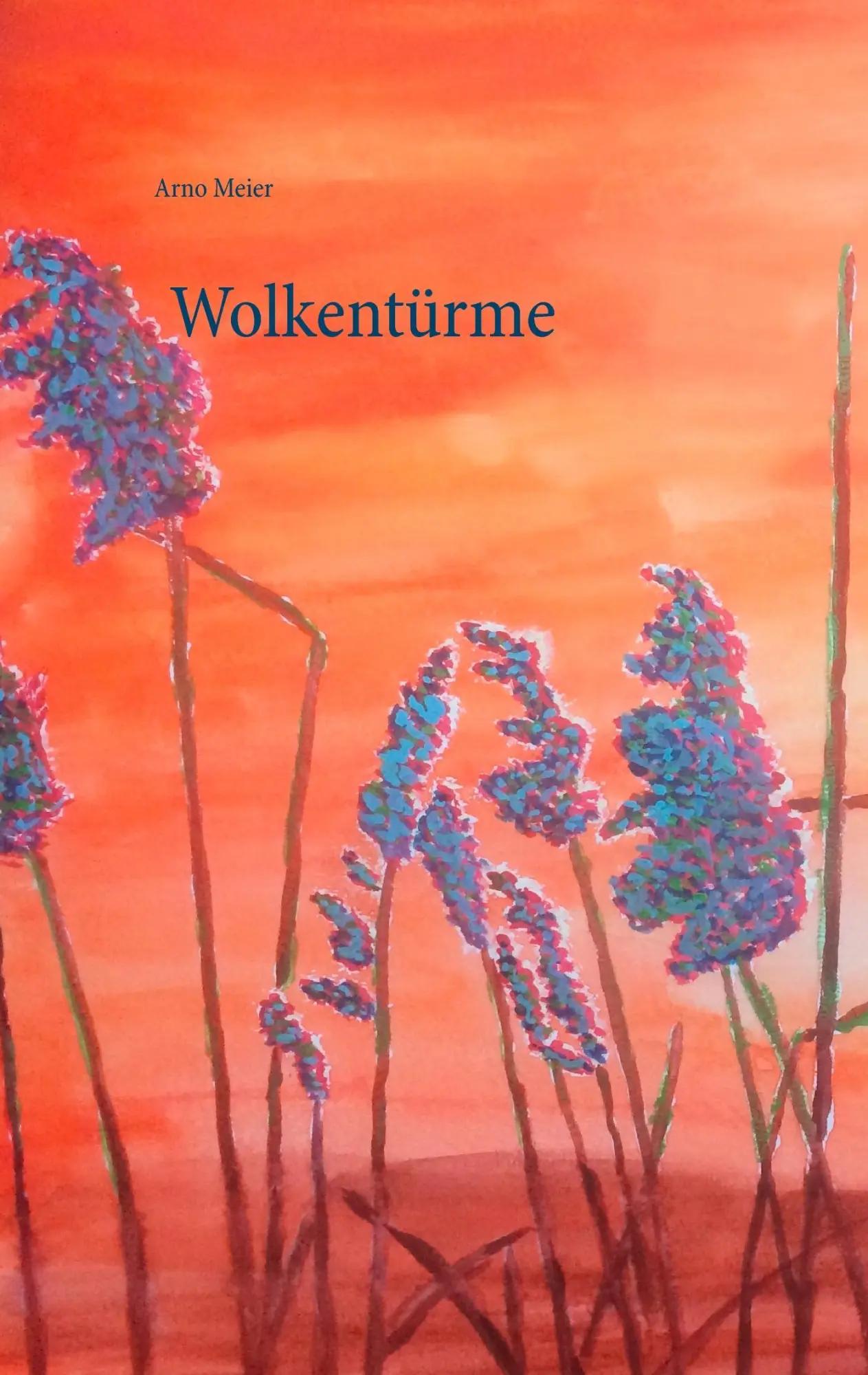 Wolkentürme - Arno Meier