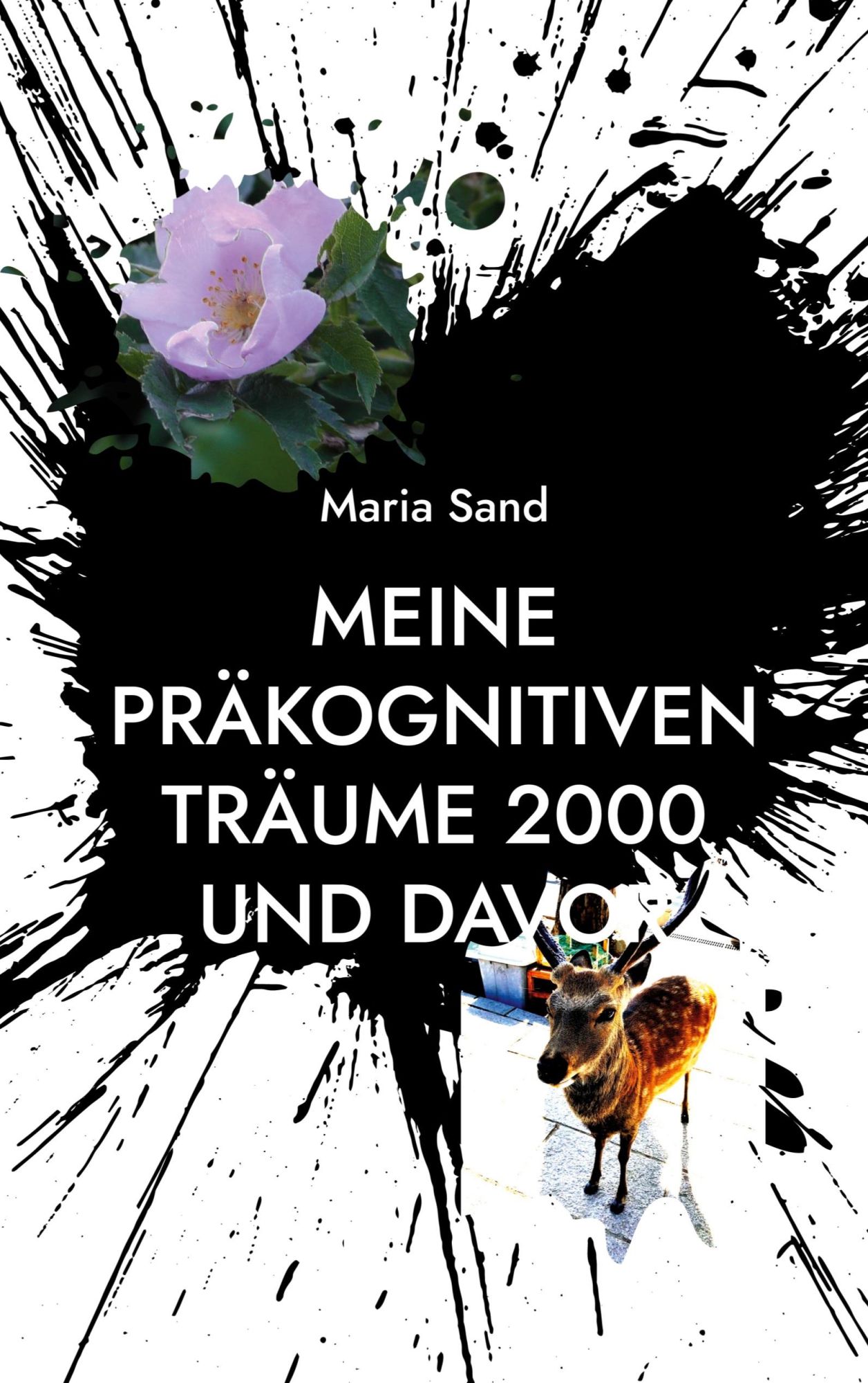 Meine präkognitiven Träume 2000 und davor | Psi-Forschung - Maria Sand