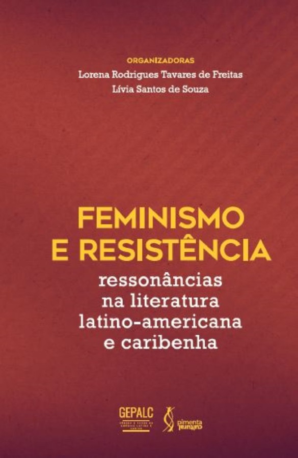 Feminismo e resistência - Ressonâncias na literatura latino-americana e caribenha - Lorena Rodrigues Tavares de Freitas (Organizadora)