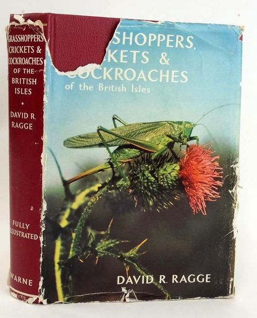 GRASSHOPPERS, CRICKETS AND COCKROACHES OF THE BRITISH ISLES (WAYSIDE ...
