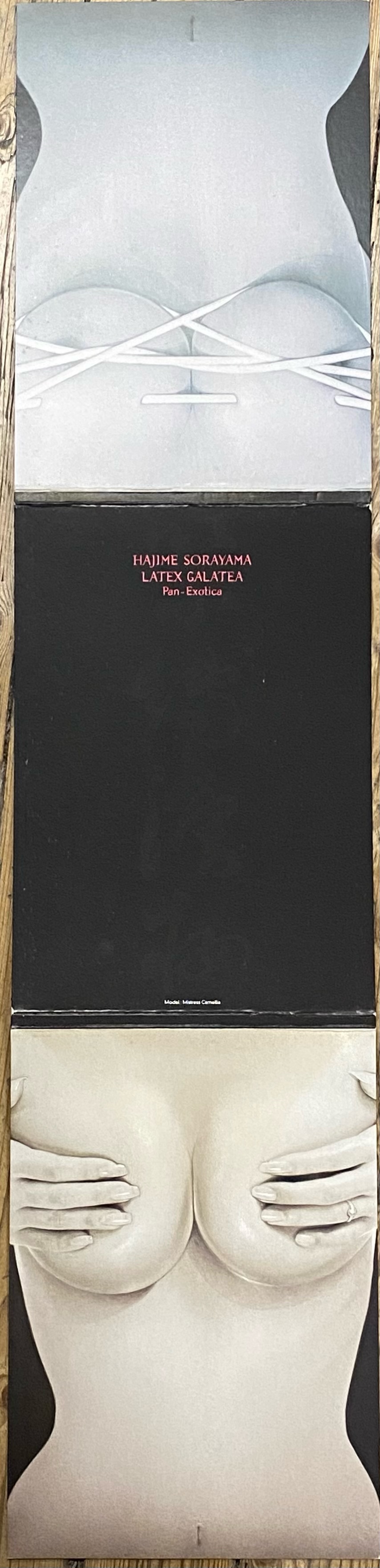 LATEX GALATEA Pan-Exotica. by SORAYAMA, HAJIME.: (2003) | Auca