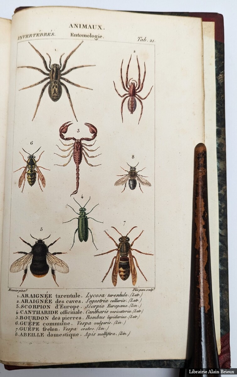 Leçons de médecine légale. [Et] Leçons faisant partie du cours de médecine légale ORFILA, Matheo José Buenaventura [Bon] [Couverture rigide]