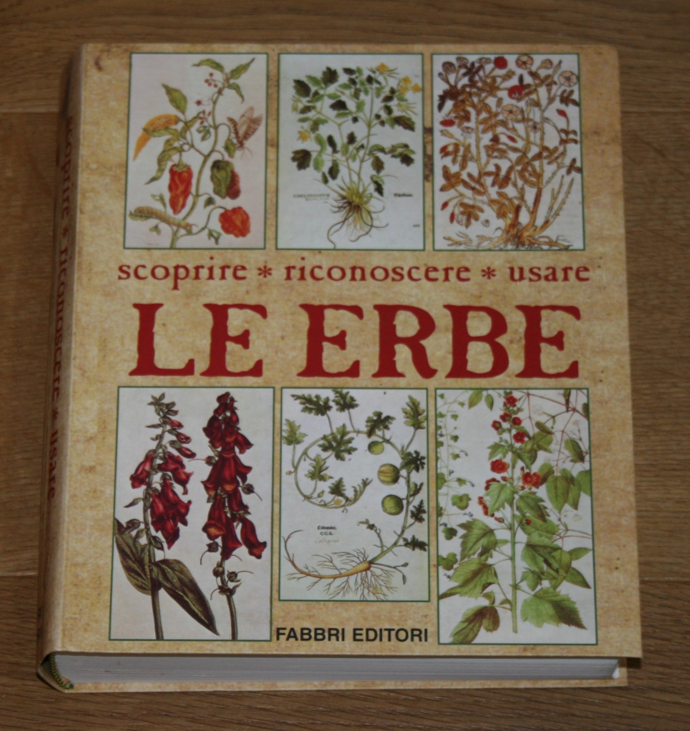 LE ERBE. Scoprire, riconoscere, usare. - Boni, Umberto; Patri, Gianfranco