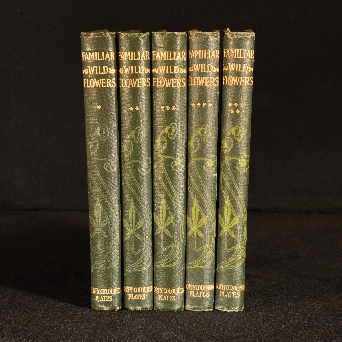 Familiar Wild Flowers by F. Edward Hulme: Very Good Cloth (1877