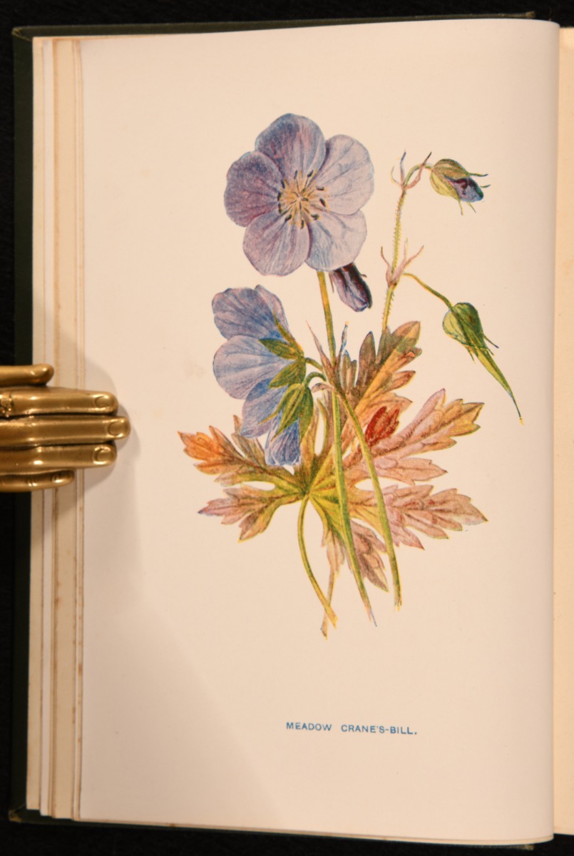 Familiar Wild Flowers by F. Edward Hulme: Very Good Cloth (1877