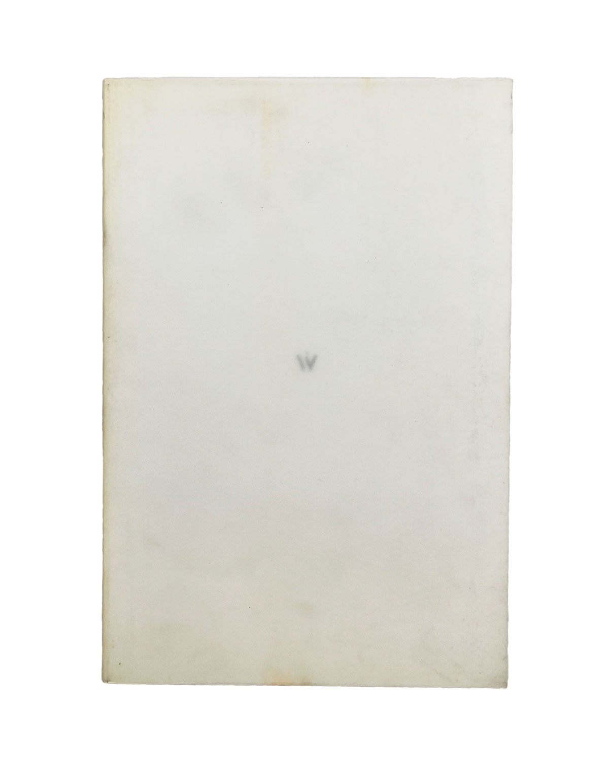 wako book 1999 by wolfgang tillmans: (1999) | leaves