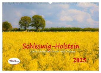 Schleswig-Holstein Land zwischen Nord- und Ostsee (Wandkalender 2025 DIN A2 quer), CALVENDO Monatskalender - Calvendo|& Urbach, Urbach