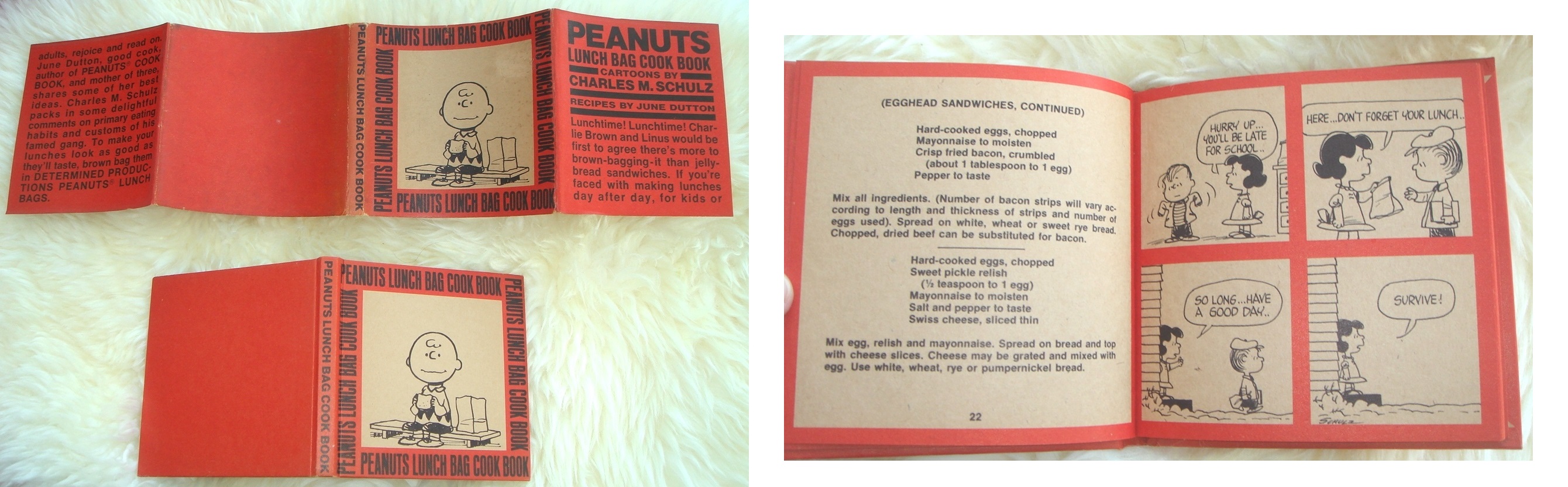PEANUTS LUNCH BAG COOK BOOK CHARLES M. SCHULZ and JUNE DUTTON [Comme Neuf] [Couverture rigide]