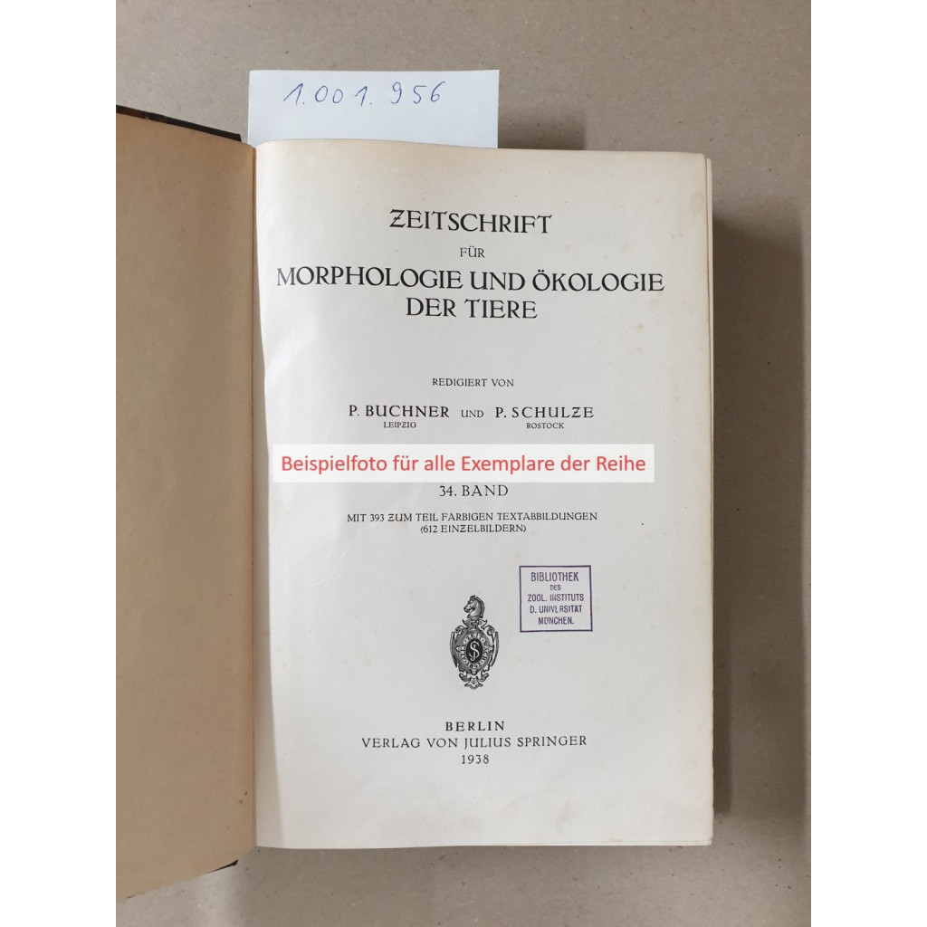 Zeitschrift für Morphologie und Ökologie der Tiere 20. Band : von ...