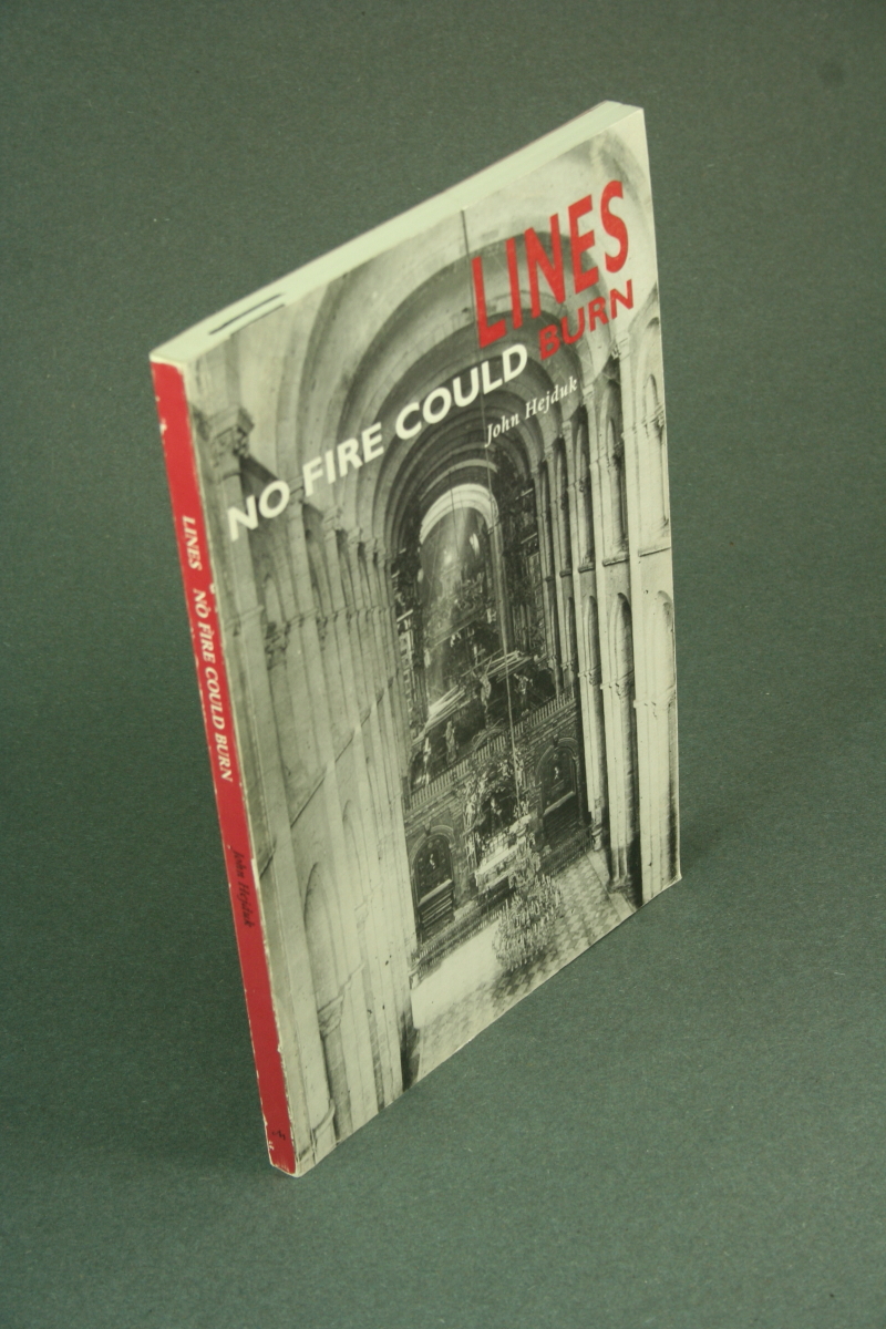 稀少本　John Hejduk　LINES：NO FIRE COULD BURN Lines: No Fire Could Burn: Hejduk, John: 9781580930383: Amazon.com