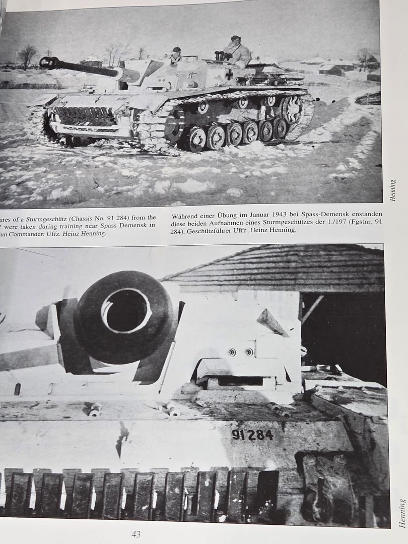 Combat History of Schwere Panzerjäger Abteilung 653: Formerly the
