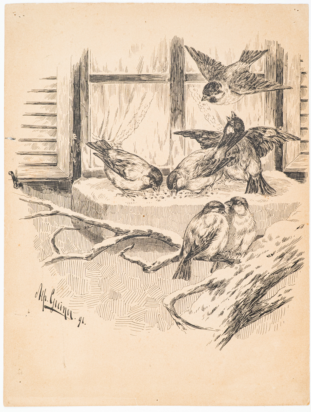 [Vögel im Winter]. -, image size:1285x1700