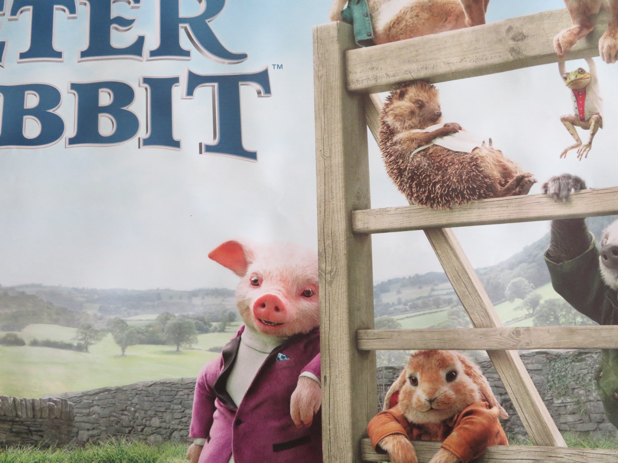 Peter Rabbit Quad PETER RABBIT - B UK QUAD ROLLED POSTER ROSE BYRNE DOMHNALL GLEESON 2018 ...