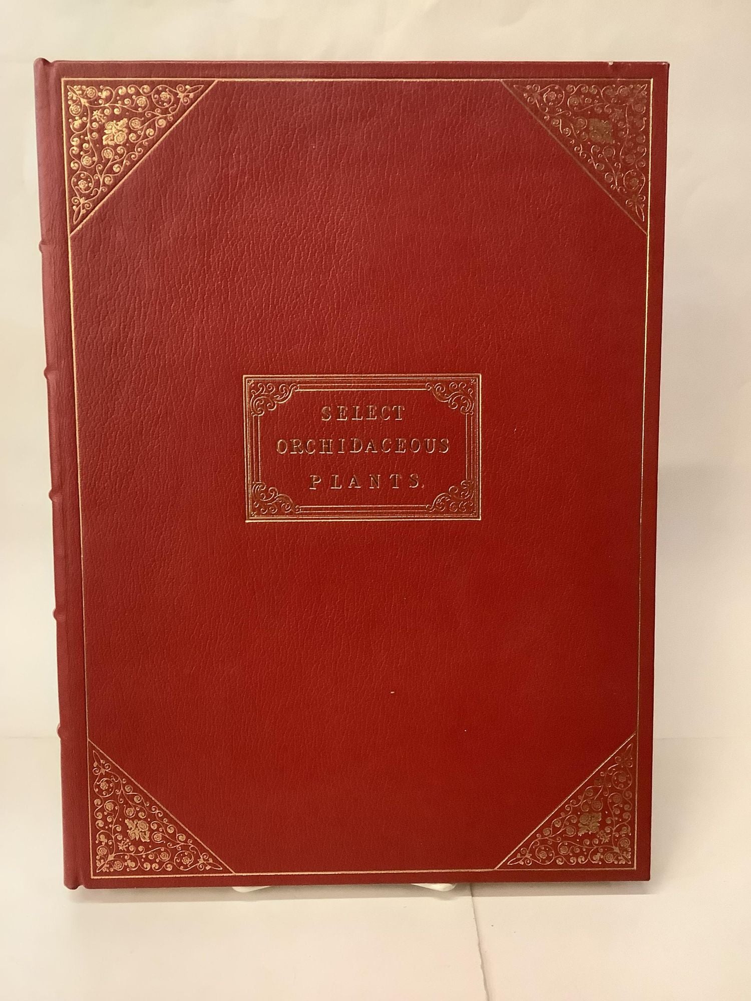 Select Orchidaceous Plants by Warner, Robert; Williams