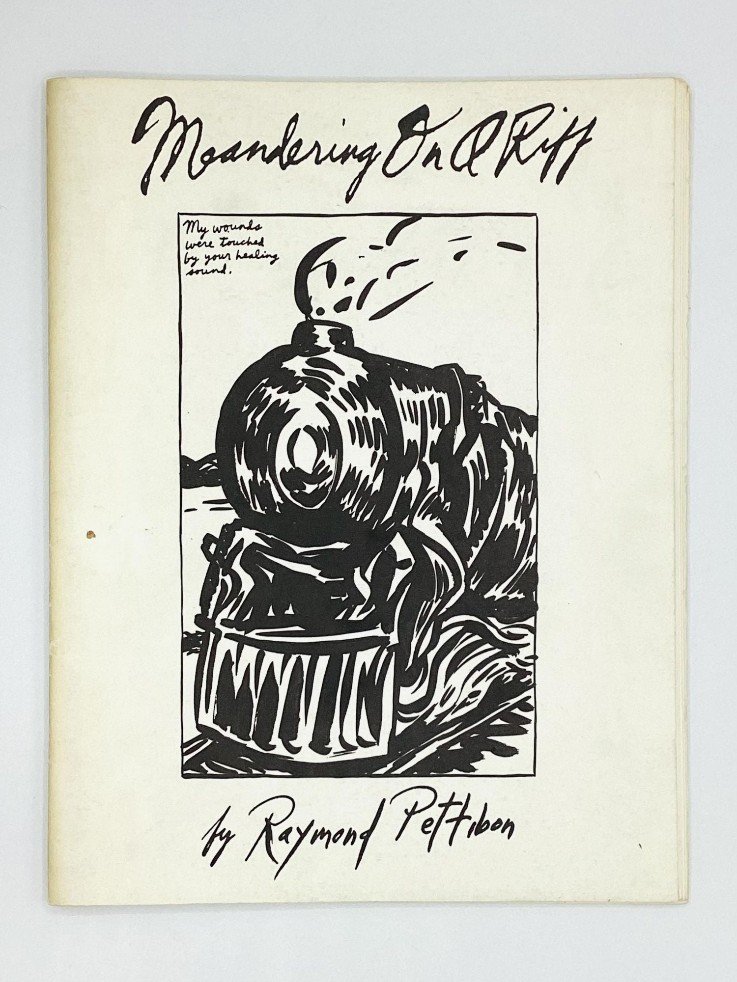 MEANDERING ON A RIFF Pettibon, Raymond [Assez bon] [Couverture souple]