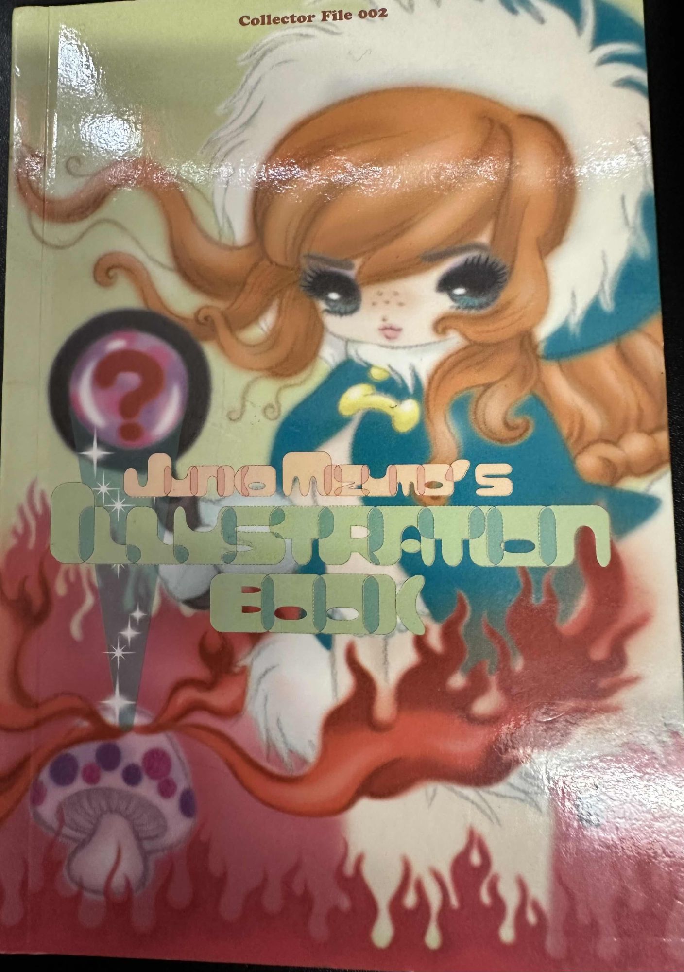 Collector File 002: Junko Mizuno's Illustration Book by Mizuno