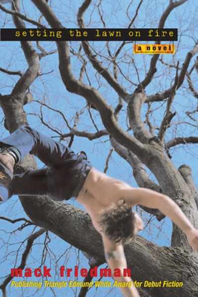 Setting the Lawn on Fire - Mack Friedman