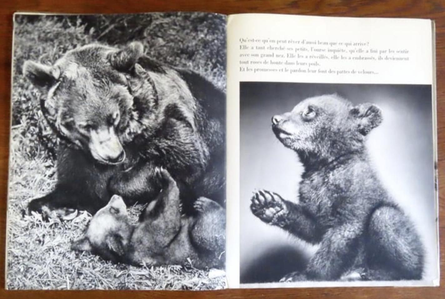 Deux petits ours. Ylla, Paulette Falconnet: [Moyen] [Couverture souple]