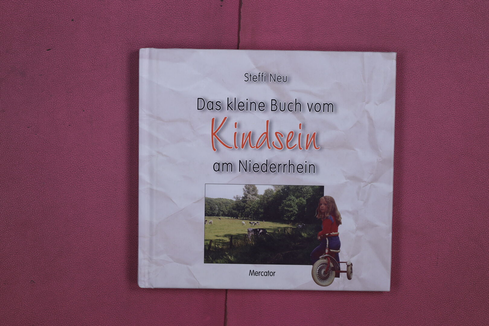 DAS KLEINE BUCH VOM KINDSEIN AM NIEDERRHEIN. - Neu Steffi