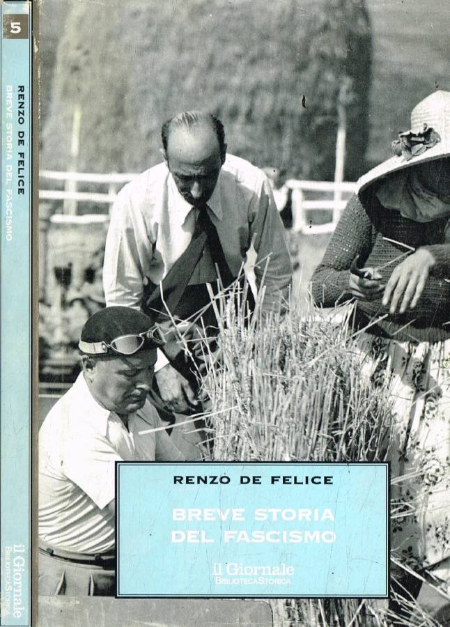 Breve storia del fascismo - Renzo De Felice