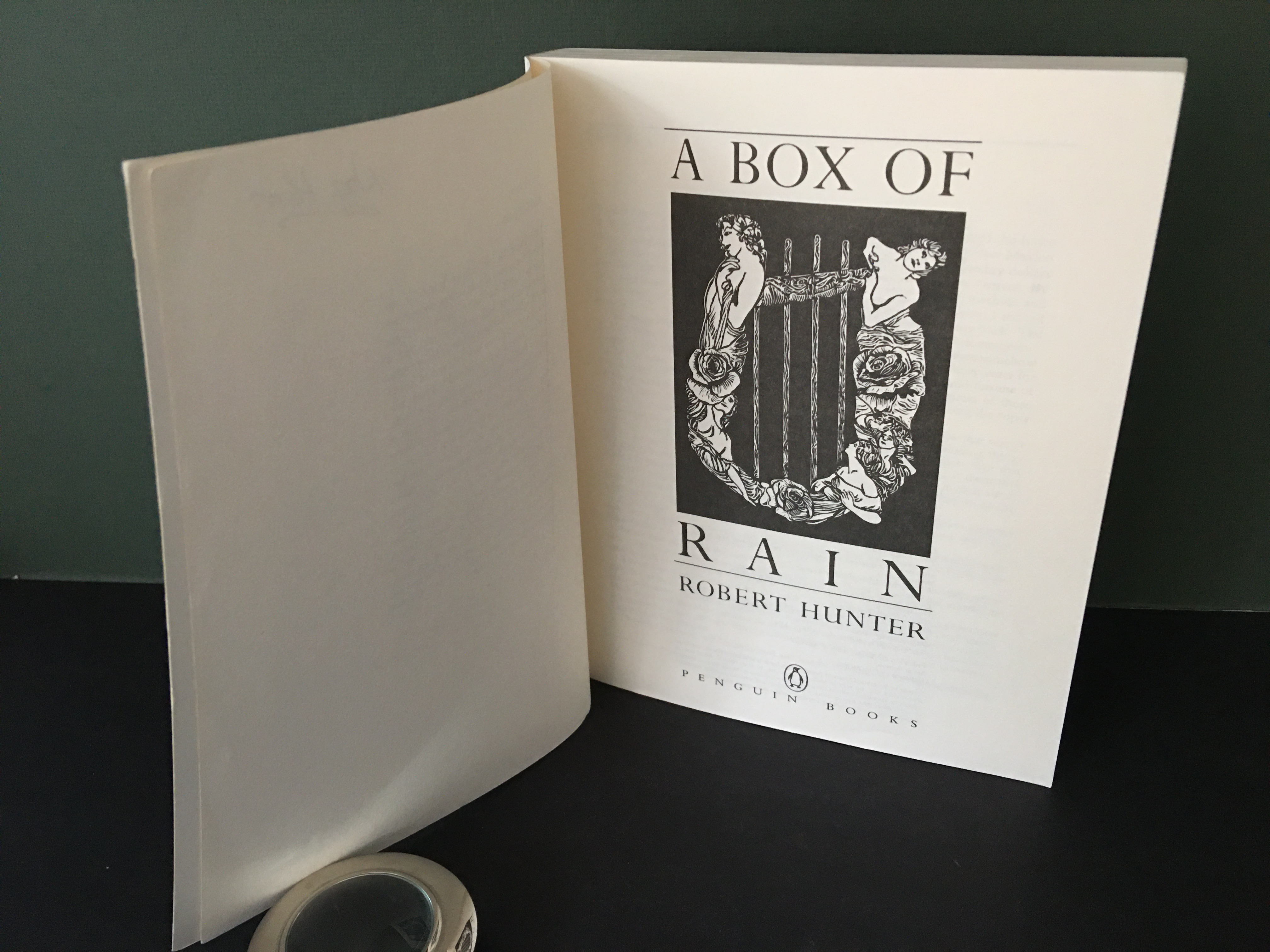 A Box of Rain (Lyrics 1965-1993) by Hunter, Robert: Very Good