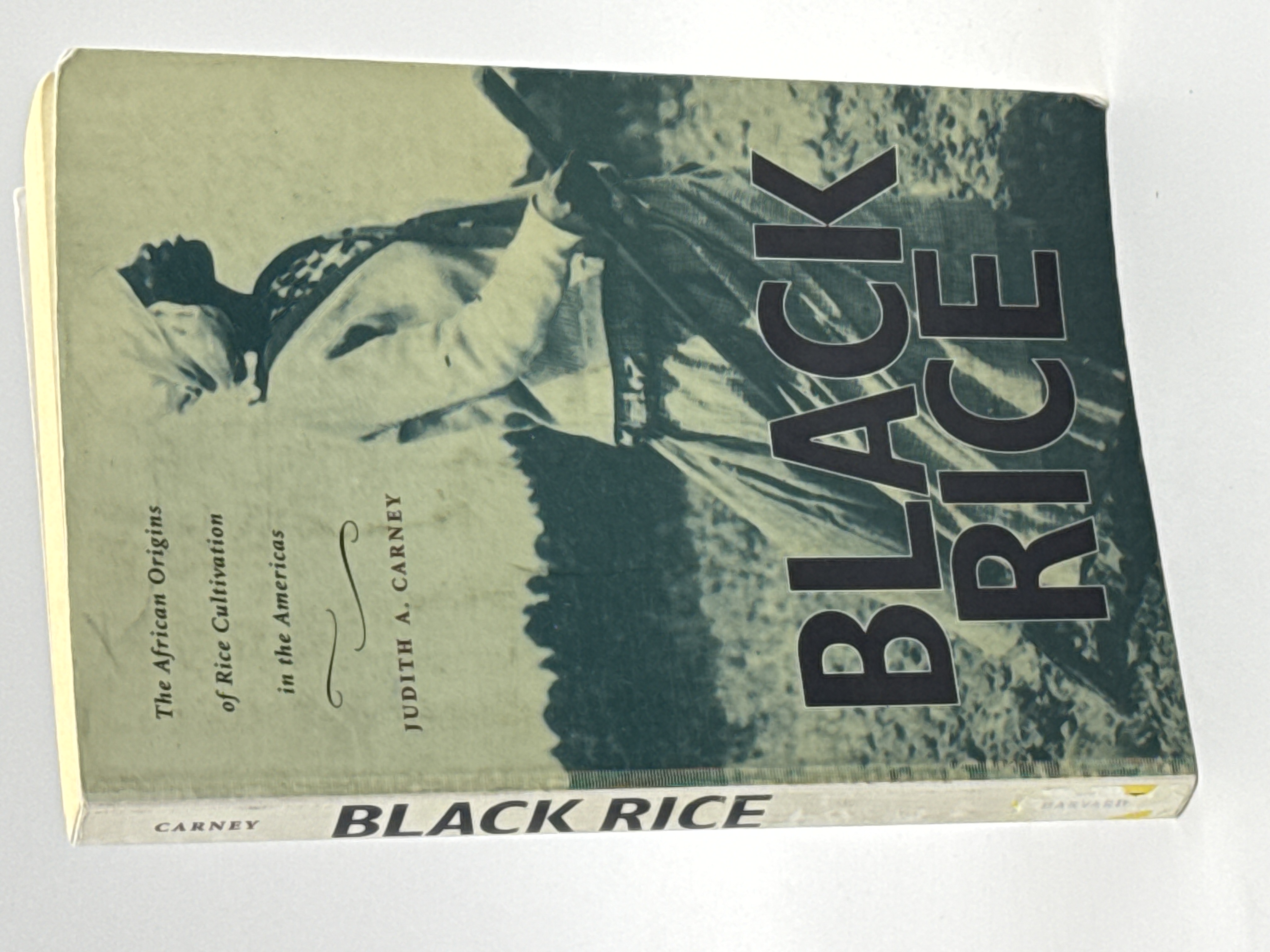 Jusith Rice BLACK RICE: The African Origins of Rice Cultivation in the Americas. by ...