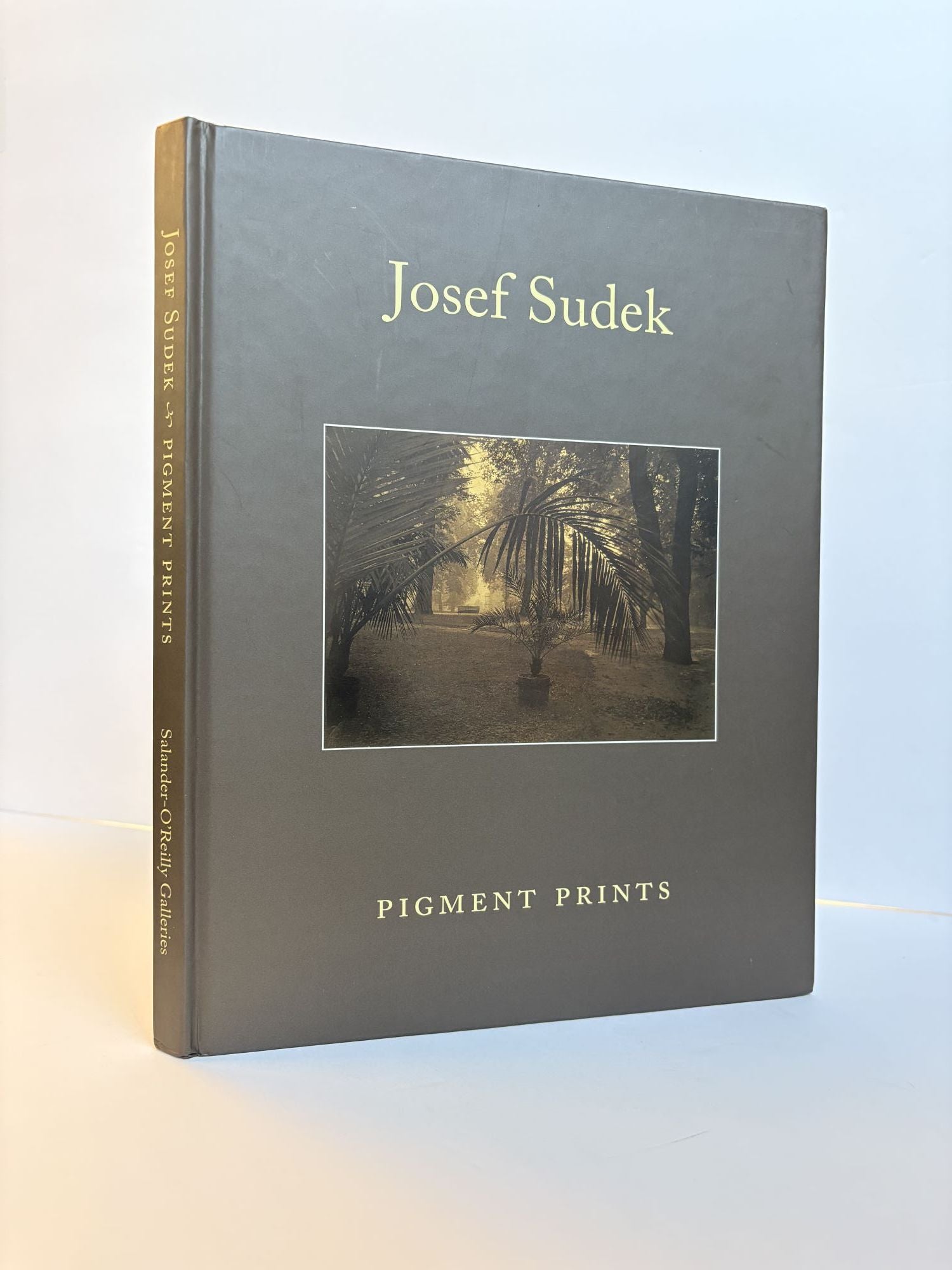 Amazon | Josef Sudek: Still Lifes | Sudek, Josef | Architectural