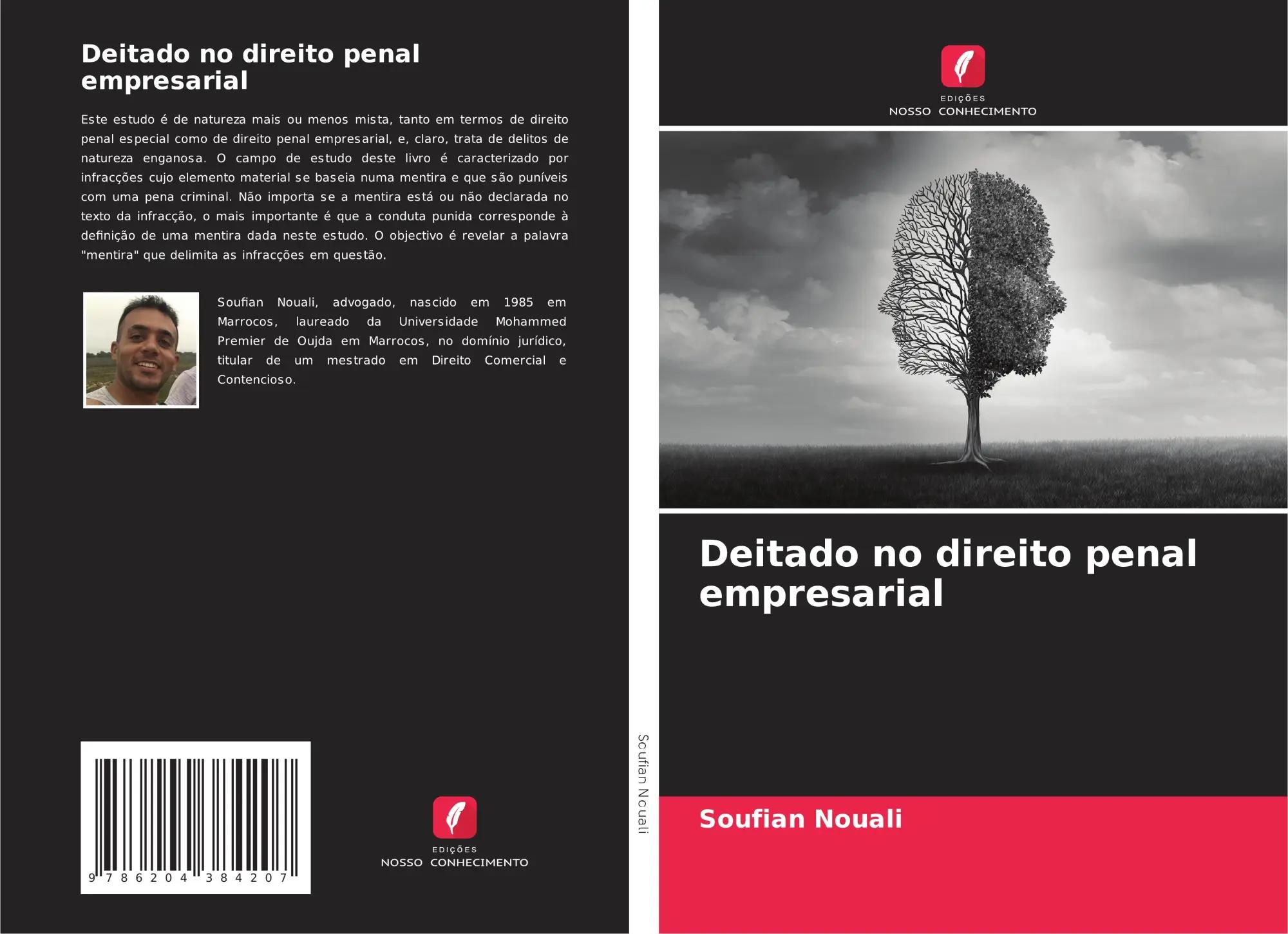 Deitado no direito penal empresarial - Soufian Nouali