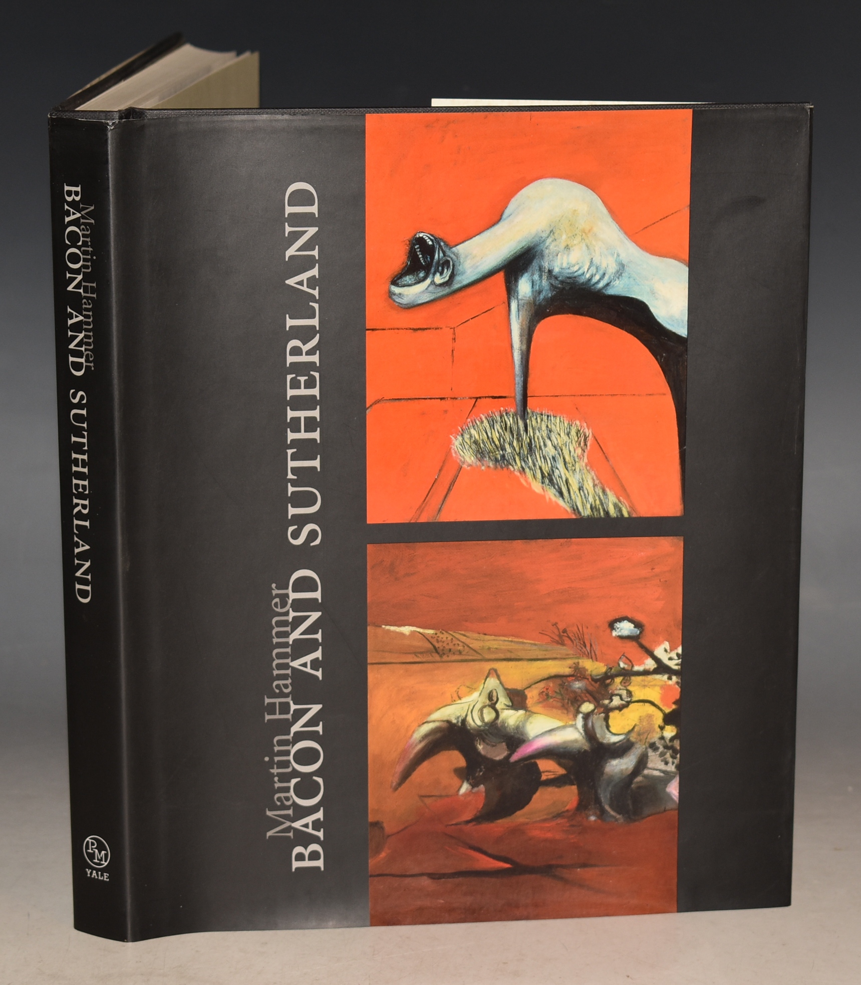 本 BACON AND SUTHERLAND Martin Hammer 洋書 画集