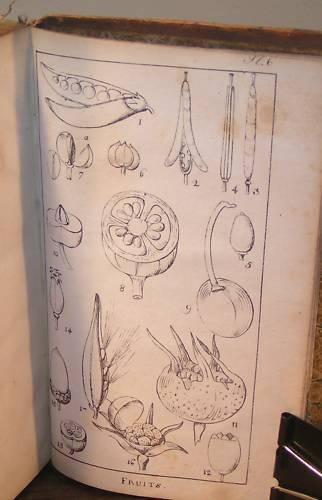 Nouveaux Élémens de Botanique, appliqué à la médecine, à l'usage des élèves qui suivent les cours de la Faculté de Médecine et du Jardin du Roi RICHA