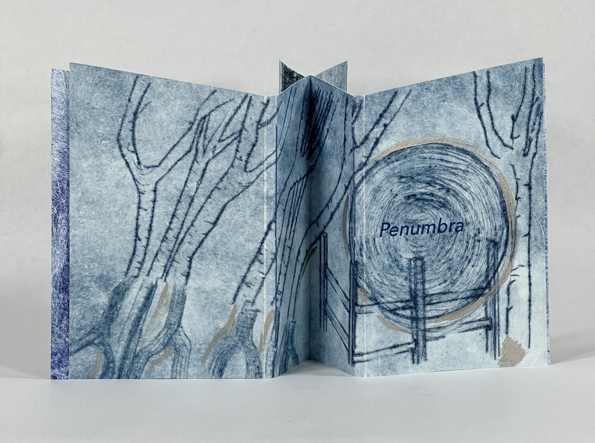 Penumbra by [Artist's Book] Goodale, Rebecca and Carrie Scanga: Fine ...