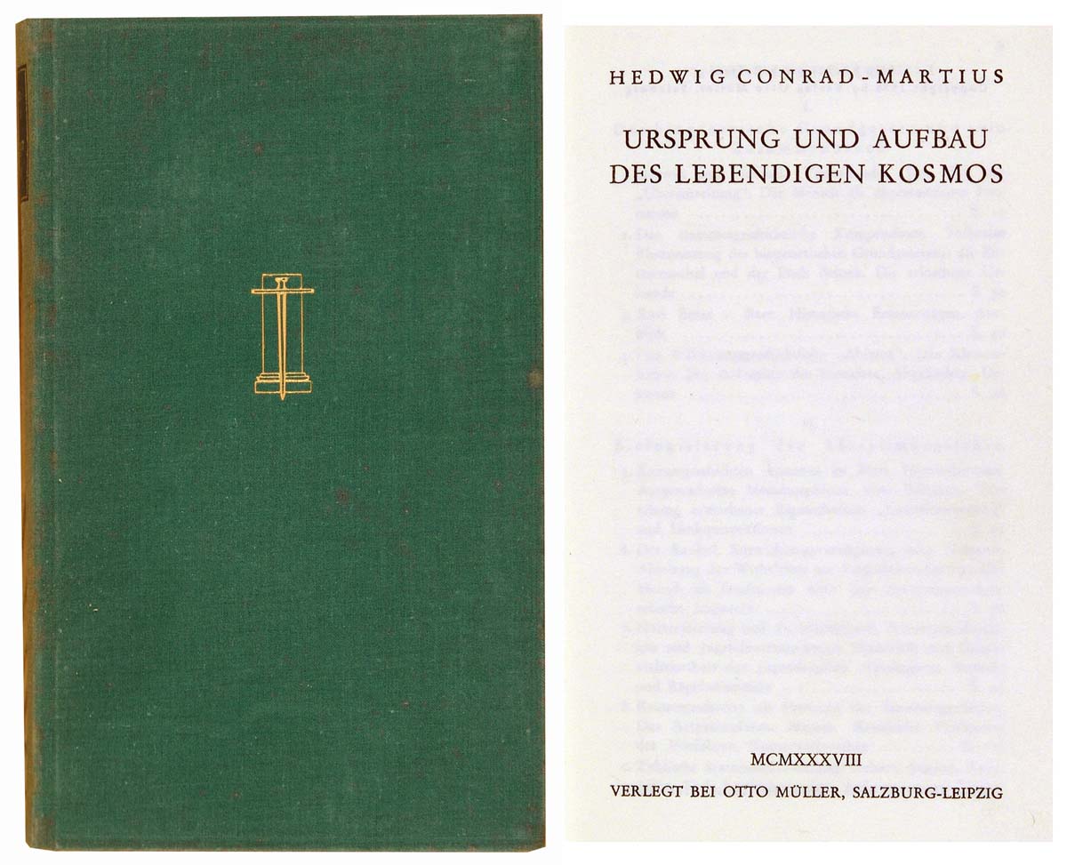 Ursprung und Aufbau des lebendigen Kosmos