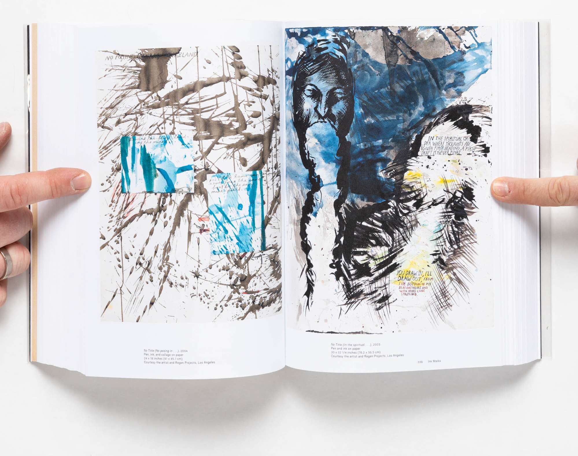 Raymond Pettibon, Homo Americanus, Collected Works by Pettibon