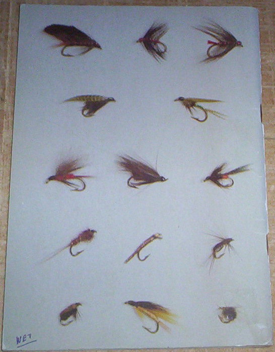 Taurus Fly Pattern Tasmanian Trout Fly Patterns. by Stokes, Max | Thylacine Fine Books