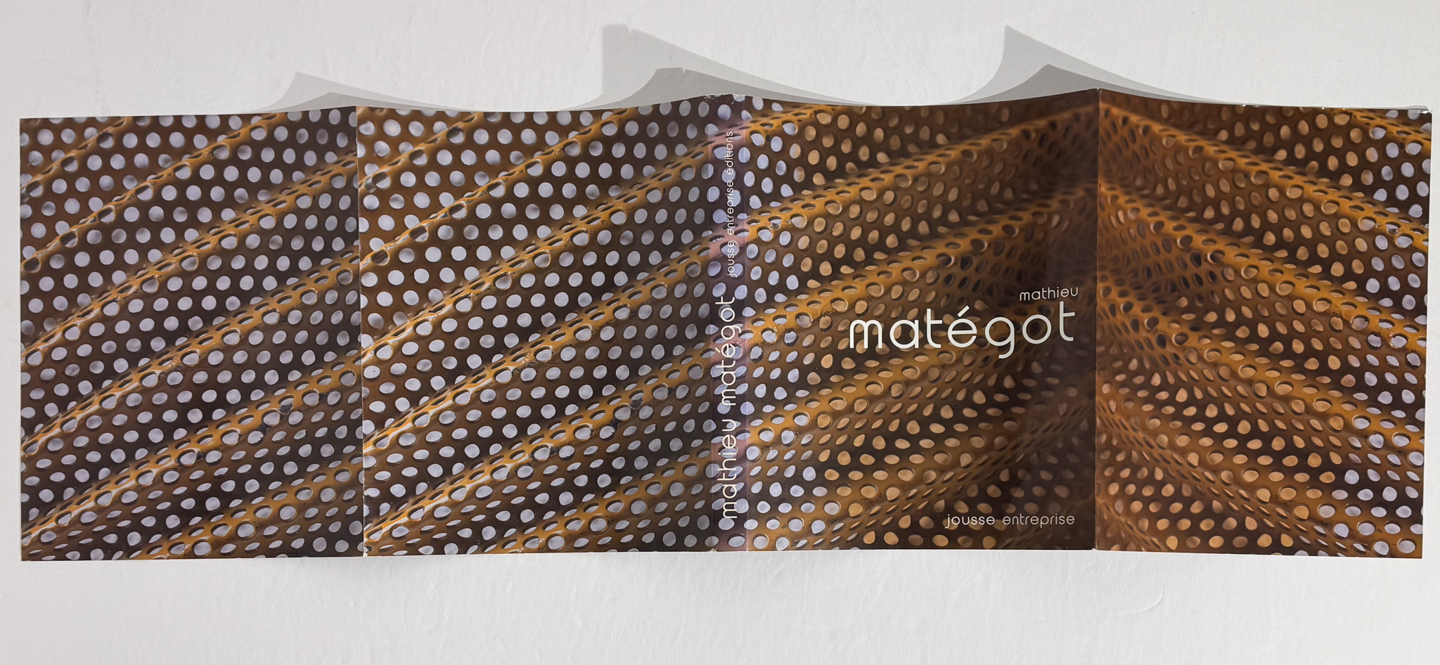 RARE mathieu matégot books