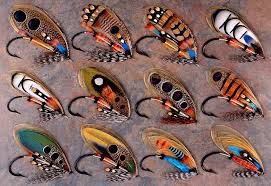 Forgotten Flies by Schmookler Paul – AbeBooks