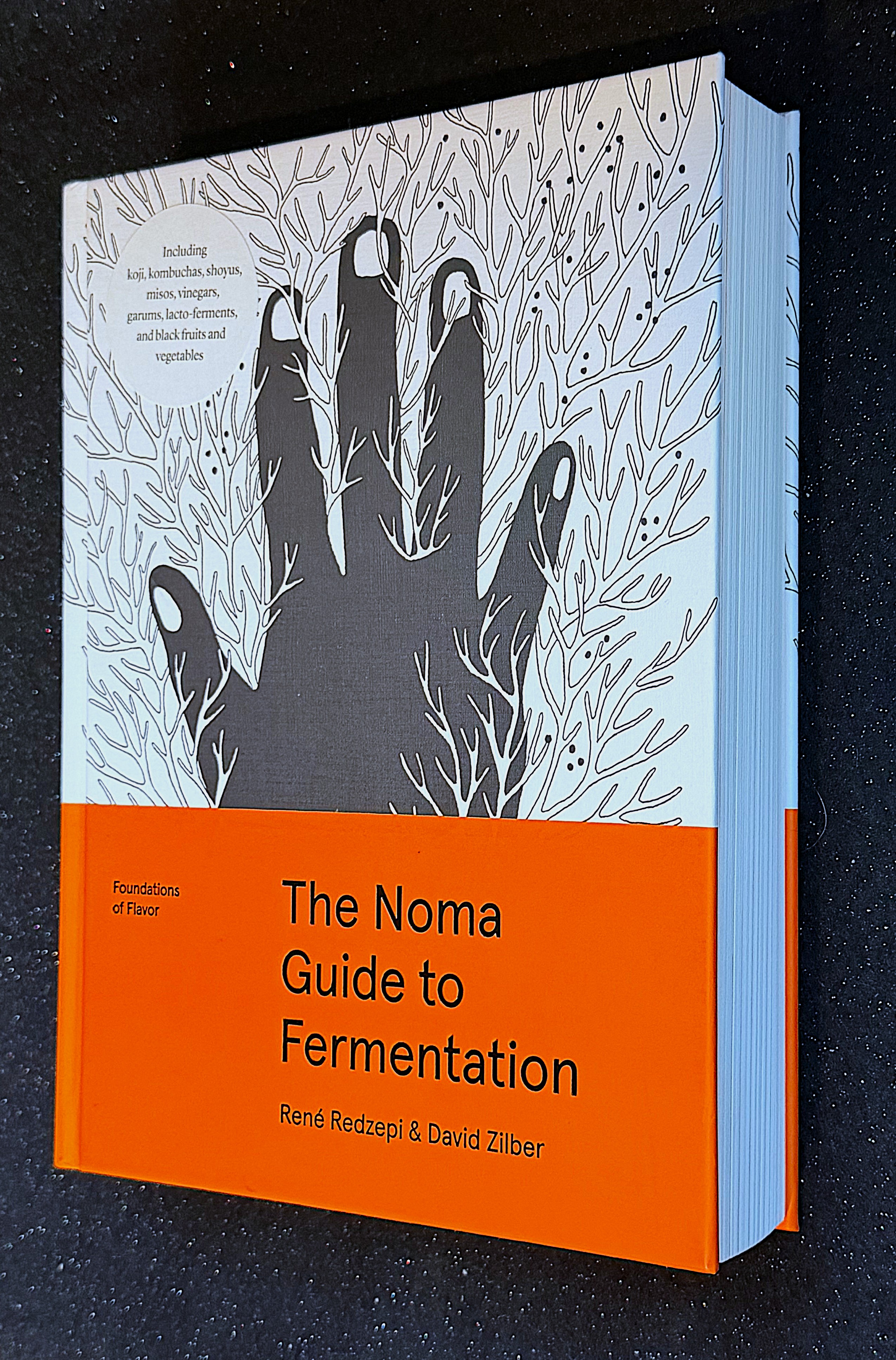 The Noma Guide to Fermentation – AbeBooks