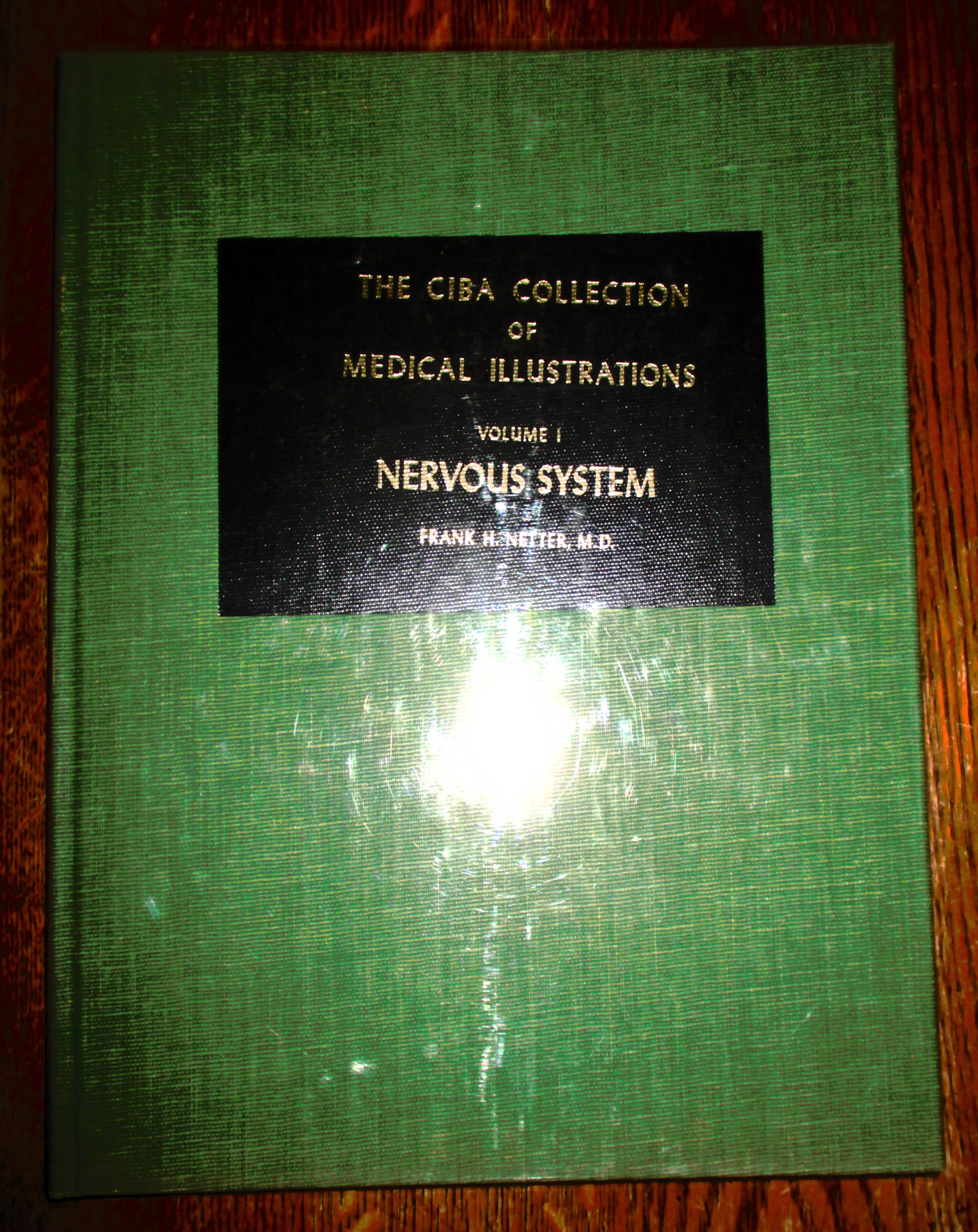 Ciba Collection Medical Illustrations by Netter Frank, First