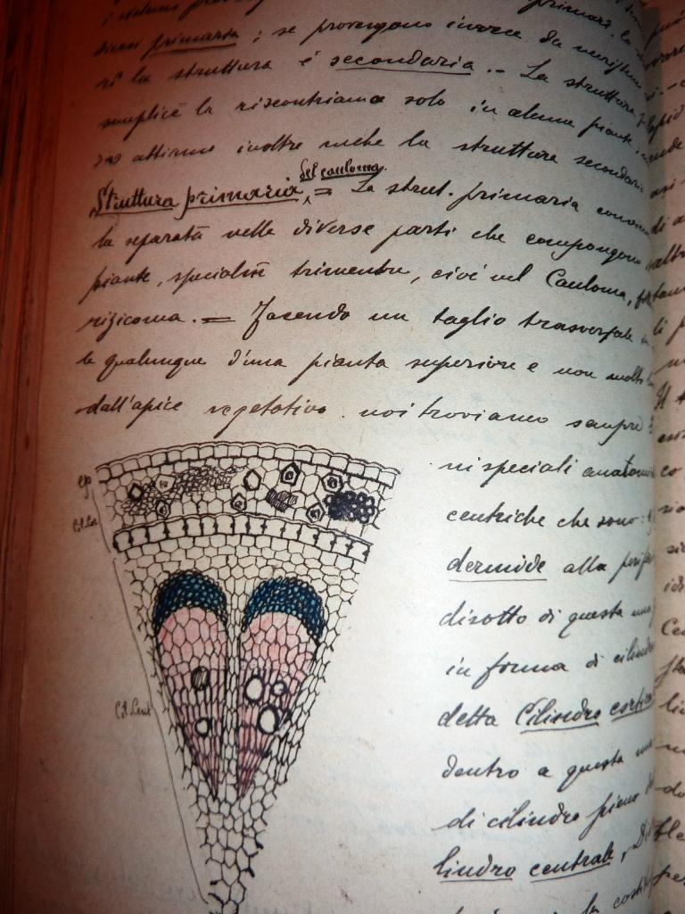 "Sunto di Chimica Generale - Appunti di Botanica presi alle Lezioni del ...