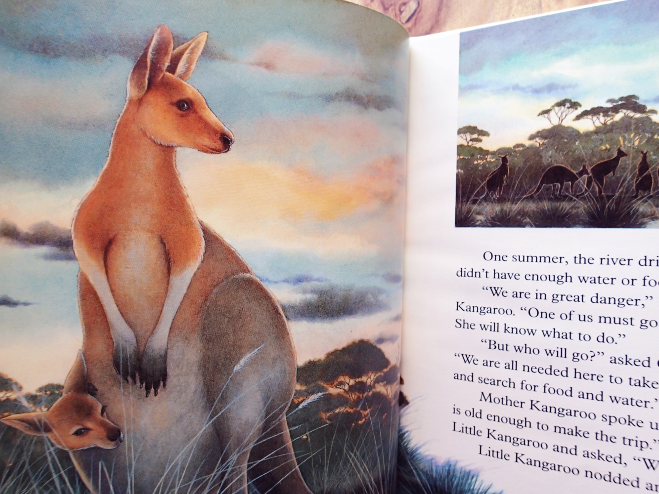 LITTLE KANGAROO FINDS HIS WAY : (English edition of KANGOUROU, PETIT FOU!)  : Reader's Digest Kids, Little Animal Adventures by Ariane Chottin;  (Translated & Adapted from the French by Patricia Jensen): New