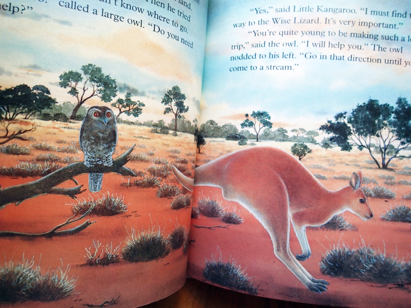 LITTLE KANGAROO FINDS HIS WAY : (English edition of KANGOUROU, PETIT FOU!)  : Reader\'s Digest Kids, Little Animal Adventures by Ariane Chottin;  (Translated & Adapted from the French by Patricia Jensen): New
